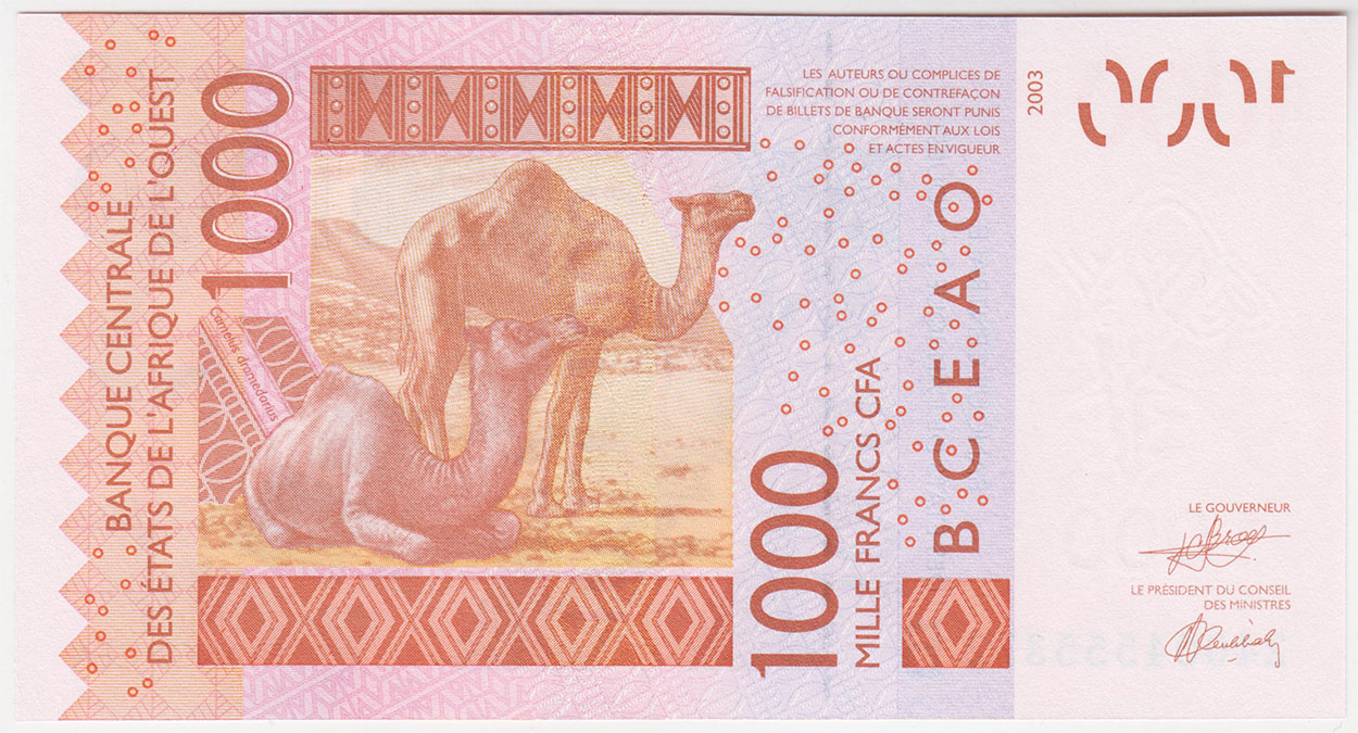 Бенин 1000 франков 2003 (2024)